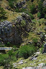 GriechenlandWeb Imbros Schlucht Chania Kreta - Foto GriechenlandWeb.de