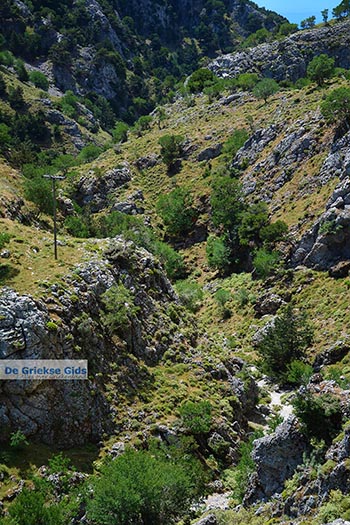 Imbros kloof Kreta - Departement Chania - Foto 8 - Foto van https://www.grieksegids.nl/fotos/kreta/imbros-kloof/normaal/imbros-kloof-kreta-008.jpg