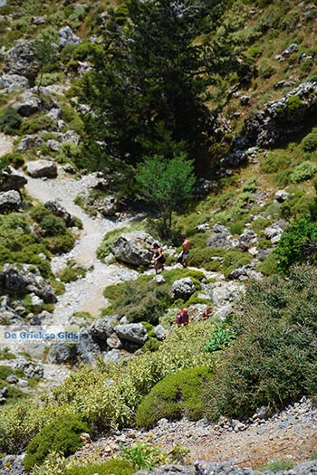 Imbros kloof Kreta - Departement Chania - Foto 10 - Foto van https://www.grieksegids.nl/fotos/kreta/imbros-kloof/normaal/imbros-kloof-kreta-010.jpg