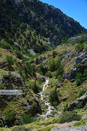 Imbros kloof Kreta - Departement Chania - Foto 16 - Foto van https://www.grieksegids.nl/fotos/kreta/imbros-kloof/normaal/imbros-kloof-kreta-016.jpg