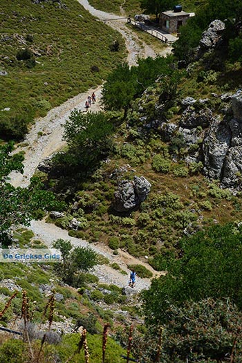 Imbros kloof Kreta - Departement Chania - Foto 17 - Foto van https://www.grieksegids.nl/fotos/kreta/imbros-kloof/normaal/imbros-kloof-kreta-017.jpg