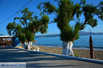 Kalives Kreta - Departement Chania - Foto 17 - Foto van https://www.grieksegids.nl/fotos/kreta/kalives/normaal/kalives-kreta-017.jpg