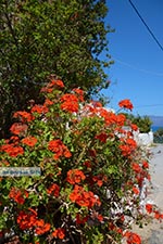 Kalyviani Kreta - Departement Chania - Foto 3 - Foto van De Griekse Gids