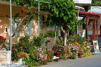 Kandanos Kreta - Departement Chania - Foto 11 - Foto van https://www.grieksegids.nl/fotos/kreta/kandanos/normaal/kandanos-kreta-011.jpg