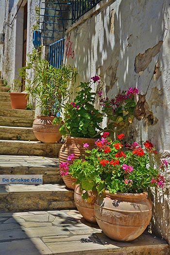 Katalagari Kreta - Departement Heraklion - Foto 13 - Foto van https://www.grieksegids.nl/fotos/kreta/katalagari/normaal/katalagari-kreta-013.jpg