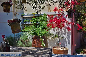 Katalagari Kreta - Departement Heraklion - Foto 22 - Foto van https://www.grieksegids.nl/fotos/kreta/katalagari/normaal/katalagari-kreta-022.jpg