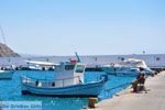 GriechenlandWeb.de Agia Galini Rethymnon Kreta - Foto GriechenlandWeb.de