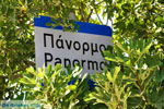 Panormos Kreta | Rethymnon Kreta | Foto 1 - Foto van De Griekse Gids