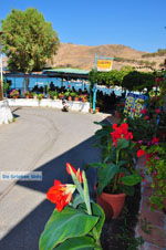 GriechenlandWeb Panormos Rethymnon Kreta - Foto GriechenlandWeb.de