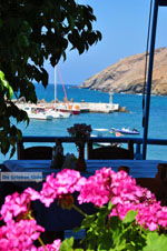 GriechenlandWeb Panormos Rethymnon Kreta - Foto GriechenlandWeb.de