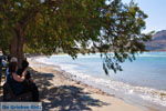 Plakias | Rethymnon Kreta | Foto 8 - Foto GriechenlandWeb.de