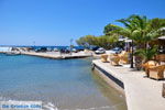 GriechenlandWeb.de Plakias | Rethymnon Kreta | Foto 32 - Foto GriechenlandWeb.de