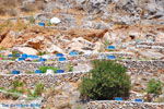 GriechenlandWeb Rodakino Rethymnon Kreta - Foto GriechenlandWeb.de