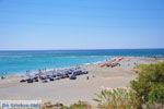 GriechenlandWeb.de Frangokastello Chania Kreta - Foto GriechenlandWeb.de