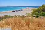 GriechenlandWeb.de Frangokastello Chania Kreta - Foto GriechenlandWeb.de