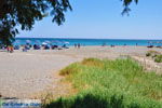 GriechenlandWeb.de Frangokastello Chania Kreta - Foto GriechenlandWeb.de