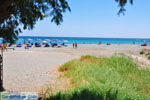 Frangokastello | Chania Kreta | Foto 47 - Foto van De Griekse Gids