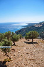 Zuid Kreta ter hoogte van Rodakino en Sellia | Retymnon Kreta 1 - Foto van De Griekse Gids