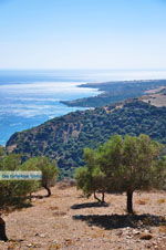 GriechenlandWeb Rodakino Rethymnon Kreta - Foto GriechenlandWeb.de