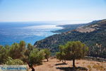 GriechenlandWeb Rodakino Rethymnon Kreta - Foto GriechenlandWeb.de
