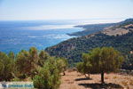 GriechenlandWeb Rodakino Rethymnon Kreta - Foto GriechenlandWeb.de