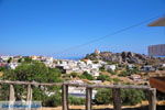 Sellia bij Plakias | Rethymnon Kreta | Foto 6 - Foto van De Griekse Gids
