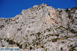 Foto Rethymnon Kreta Kreta GriechenlandWeb - Foto GriechenlandWeb.de