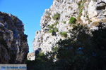 Foto Rethymnon Kreta Kreta GriechenlandWeb - Foto GriechenlandWeb.de