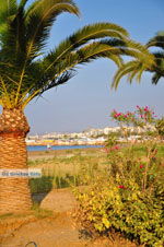 Foto Rethymnon Kreta Kreta GriechenlandWeb - Foto GriechenlandWeb.de