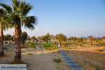 Foto Rethymnon Kreta Kreta GriechenlandWeb - Foto GriechenlandWeb.de