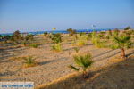 Foto Rethymnon Kreta Kreta GriechenlandWeb - Foto GriechenlandWeb.de