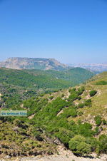 Natuur Centraal Rethymnon Kreta Griekenland 6 - Foto van De Griekse Gids