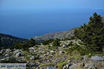 Koudoumas Kreta - Departement Heraklion - Foto 4 - Foto van De Griekse Gids