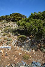 GriechenlandWeb.de Koudoumas Kreta - Departement Heraklion - Foto 27 - Foto GriechenlandWeb.de
