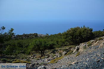 Koudoumas Kreta - Departement Heraklion - Foto 20 - Foto van https://www.grieksegids.nl/fotos/kreta/koudoumas/normaal/koudoumas-kreta-020.jpg