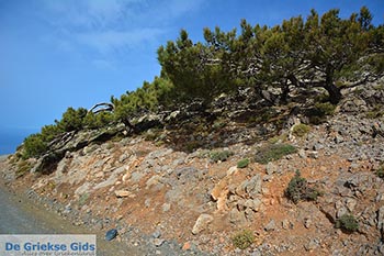 Koudoumas Kreta - Departement Heraklion - Foto 28 - Foto van https://www.grieksegids.nl/fotos/kreta/koudoumas/normaal/koudoumas-kreta-028.jpg