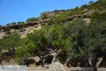 Koudoumas Kreta - Departement Heraklion - Foto 47 - Foto van https://www.grieksegids.nl/fotos/kreta/koudoumas/normaal/koudoumas-kreta-047.jpg
