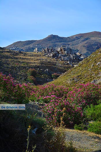 Koudoumas Kreta - Departement Heraklion - Foto 88 - Foto van https://www.grieksegids.nl/fotos/kreta/koudoumas/normaal/koudoumas-kreta-088.jpg