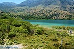 GriechenlandWeb Kournas Chania Kreta - Foto GriechenlandWeb.de