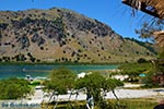 GriechenlandWeb Kournas Chania Kreta - Foto GriechenlandWeb.de