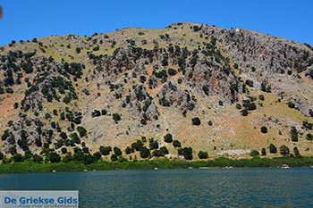 Kournas Kreta - Departement Chania - Foto 9 - Foto van https://www.grieksegids.nl/fotos/kreta/kournas/normaal/kournas-kreta-009.jpg