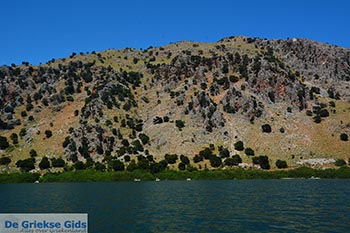 Kournas Kreta - Departement Chania - Foto 11 - Foto van https://www.grieksegids.nl/fotos/kreta/kournas/normaal/kournas-kreta-011.jpg