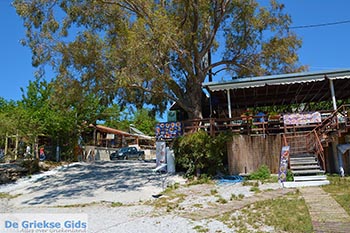 Kournas Kreta - Departement Chania - Foto 43 - Foto van https://www.grieksegids.nl/fotos/kreta/kournas/normaal/kournas-kreta-043.jpg