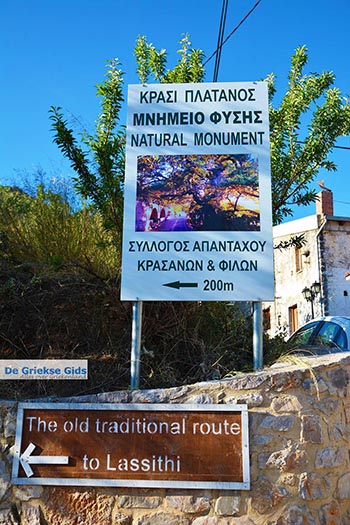 Krasi Kreta - Departement Heraklion - Foto 1 - Foto van https://www.grieksegids.nl/fotos/kreta/krasi/normaal/krasi-kreta-001.jpg