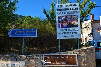 Krasi Kreta - Departement Heraklion - Foto 2 - Foto van https://www.grieksegids.nl/fotos/kreta/krasi/normaal/krasi-kreta-002.jpg