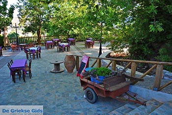 Krasi Kreta - Departement Heraklion - Foto 11 - Foto van https://www.grieksegids.nl/fotos/kreta/krasi/normaal/krasi-kreta-011.jpg