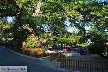 Krasi Kreta - Departement Heraklion - Foto 13 - Foto van https://www.grieksegids.nl/fotos/kreta/krasi/normaal/krasi-kreta-013.jpg