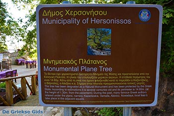 Krasi Kreta - Departement Heraklion - Foto 16 - Foto van https://www.grieksegids.nl/fotos/kreta/krasi/normaal/krasi-kreta-016.jpg