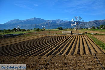 Lassithi hoogvlakte Kreta - Departement Lassithi - Foto 16 - Foto van https://www.grieksegids.nl/fotos/kreta/lassithi-hoogvlakte/normaal/lassithi-hoogvlakte-kreta-016.jpg