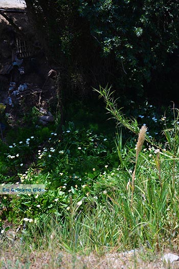 Loutra Kreta - Departement Rethymnon - Foto 7 - Foto van https://www.grieksegids.nl/fotos/kreta/loutra/normaal/loutra-kreta-007.jpg